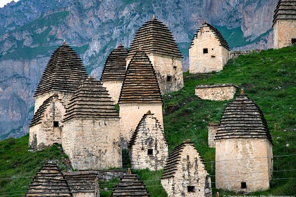дарсавс